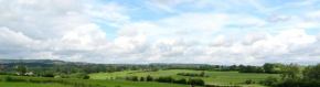 Pan-Hays